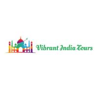 Vibrant India Tours image 1